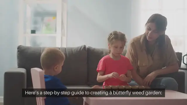 Video thumbnail for How To Plant A Butterfly Weed Garden