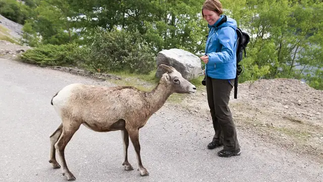 Video thumbnail for Medicine Lake und Maligne Lake | Jasper