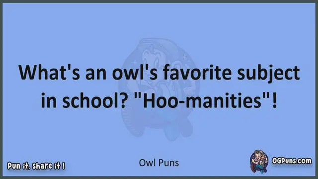 Video thumbnail for Owl - Jokes, Puns, Wordplays, and Laughter