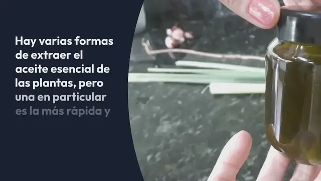 Video thumbnail for Aquí te mostramos cómo extraer el aceite de cualquier planta que tengas en casa en tan solo 5 minutos