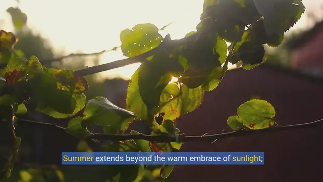 Video thumbnail for Summer Reading Splash: Top Books to Dive Into