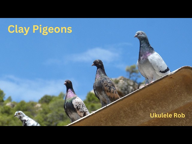 Video thumbnail for Clay Pigeons [Baritone Ukulele ] cords & lyrics in Description.