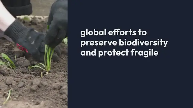 Video thumbnail for Conserving Endangered Plant Species In Botanical Gardens