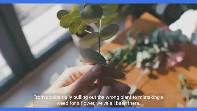 Video thumbnail for Gardening Blunders: Avoid These Common Mistakes!