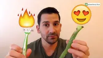 'Video thumbnail for 🌱 Aloe Vera para el Afeitado 🧔 y la Depilación 🦵'