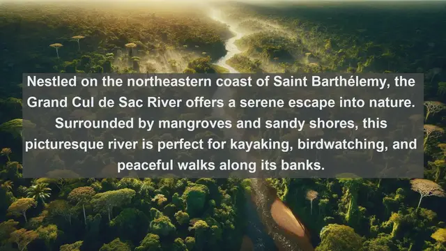 Video thumbnail for Discovering the Hidden Gems: Top 10 Famous Rivers in Saint Barthélemy