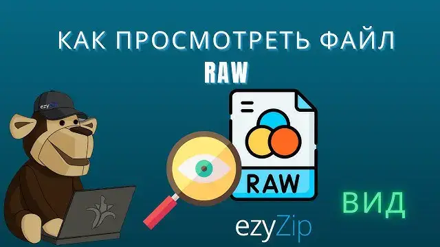 'Video thumbnail for Как Просмотреть Файлы RAW Онлайн (простое Руководство)'