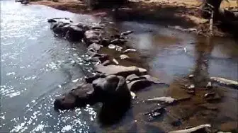 Video thumbnail for Ganeshpal Sirsi/