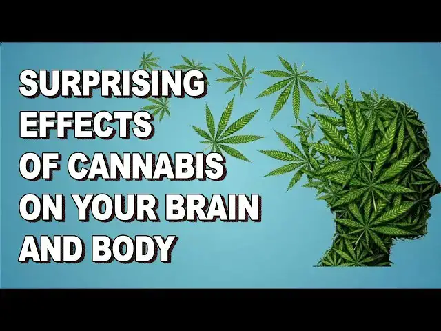 Video thumbnail for 7 Surprising Side Effects of Cannabis for People Over 50