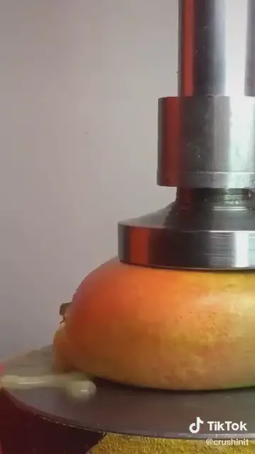 'Video thumbnail for The Most Satisfying Video'