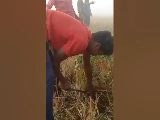 Video thumbnail for March 2, 2023