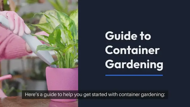 Video thumbnail for Growing Indoor Vegetables in Containers