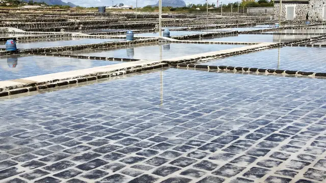 Video thumbnail for Salinen bei Tamarin | Mauritius