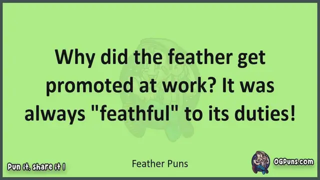 Video thumbnail for Feather - Jokes, Puns, Wordplays, and Laughter