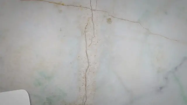 Video thumbnail for A&W Root Bear ‘Bear Mascot’ Twitter Joke Ends Up on Fox News