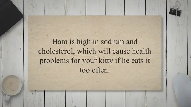 Video thumbnail for Can Cats Eat Ham?