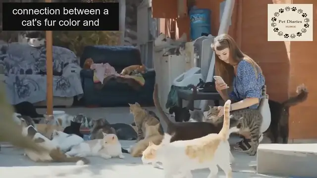 'Video thumbnail for Cat Color Health Personality Guide'