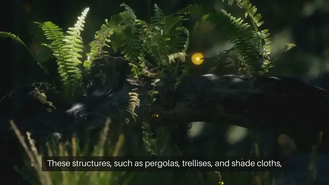 Video thumbnail for Garden Shading Structures Benefits