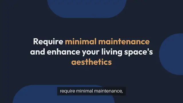 Video thumbnail for Best Indoor Plant Varieties for Apartment Living