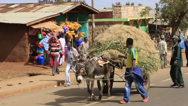 Video thumbnail for Markt in Soddo | Abenteuer Äthiopien