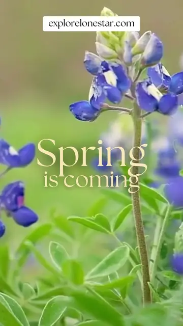 Video thumbnail for Spring is Coming   Explore Lone Star
