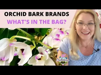 'Video thumbnail for Best Orchid Bark Brands: Comparing 5 Brands'