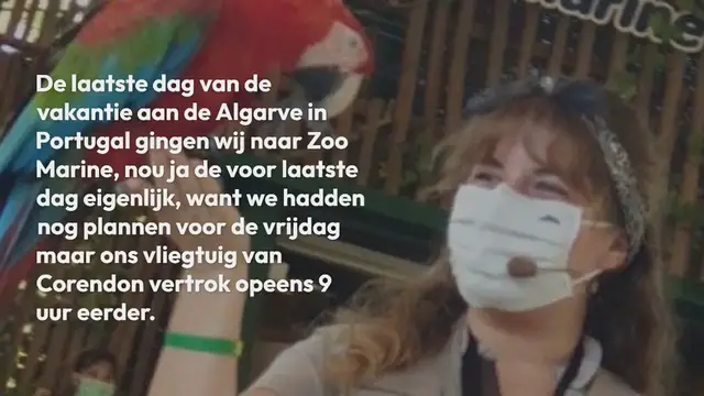 Video thumbnail for Zoo Marine – een dolfinarium, pretpark en waterpark in Portugal