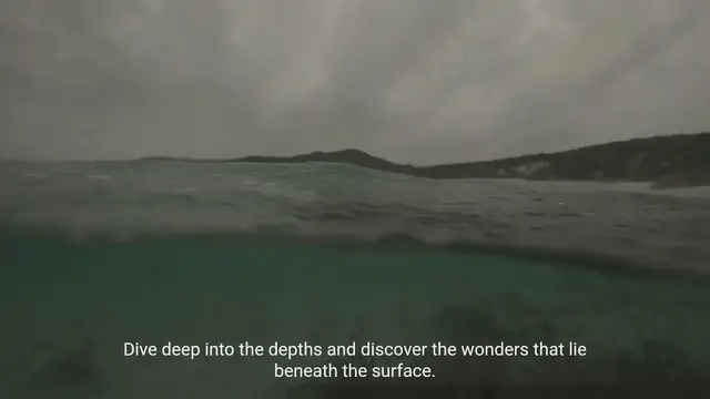 Video thumbnail for Ocean Exploration: Discovering the Hidden Wonders