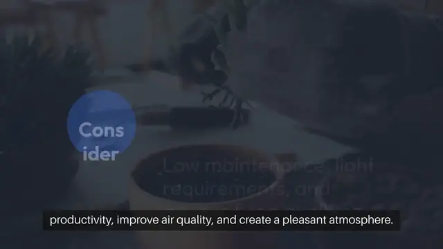 Video thumbnail for Best Indoor Plants for Office Environments