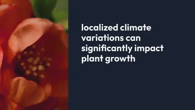 Video thumbnail for Protect Plants Afternoon Sun