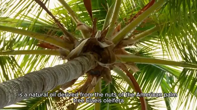 Video thumbnail for batana oil