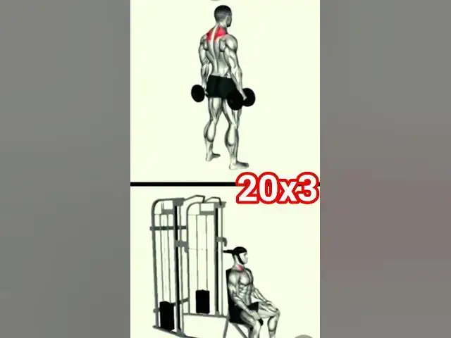 Video thumbnail for #aerobic #motivation #الاجسام #sports #body_building #shoulder #personaltrainer #fitness #pack