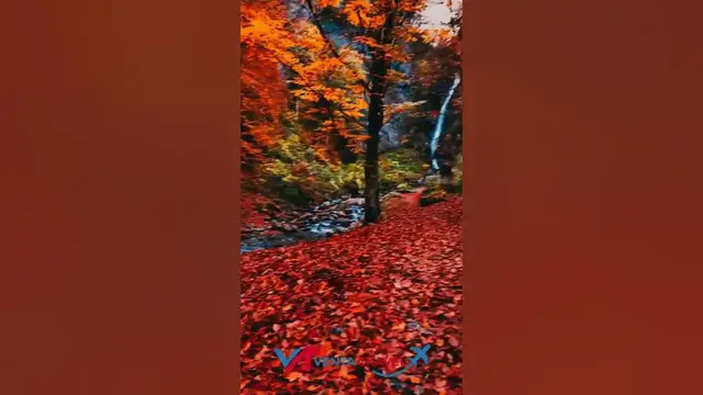 Video thumbnail for Before we have winter in Austria the landscape is magical too 🍁