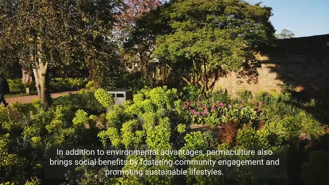 Video thumbnail for Unlocking the Power of Permaculture