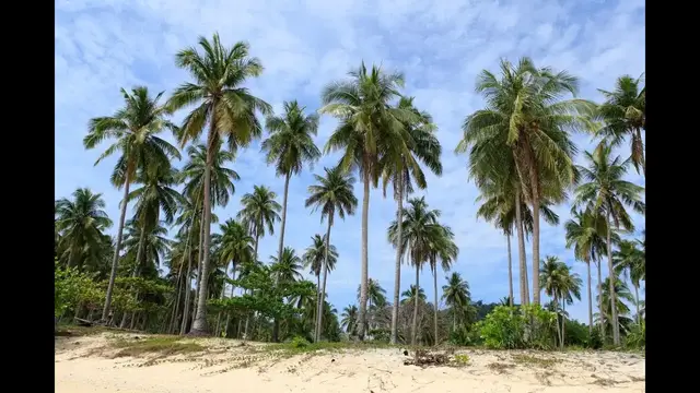 Video thumbnail for Paradise Beach auf Ko Hai | Thailand