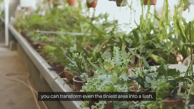 Video thumbnail for Outdoor Gardening Tips for Small Spaces