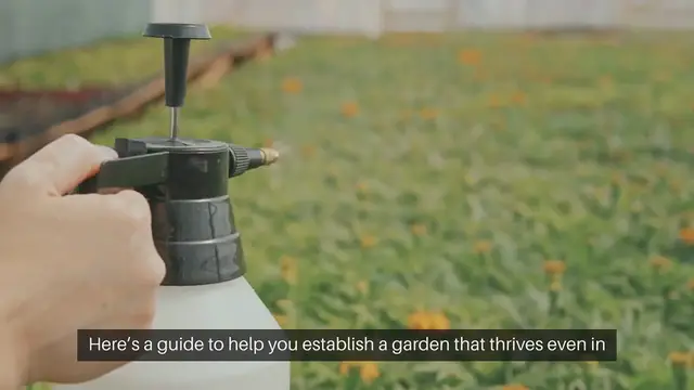 Video thumbnail for How To Plant A Drought-Resistant Garden