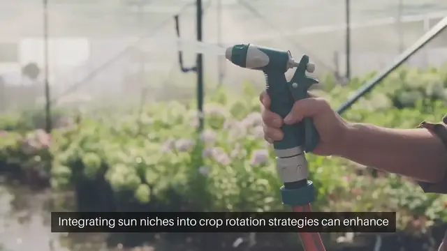 Video thumbnail for Crop Rotation Sun Niches