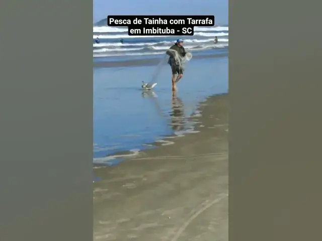Video thumbnail for Pescando tainhas com tarrafa de argola em Imbituba SC. #shorts #imbituba #tainha #tarrafa