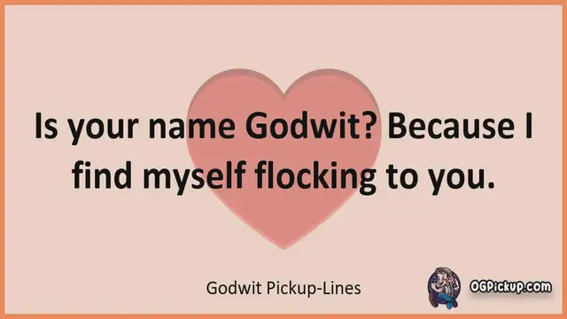 Video thumbnail for Godwit - Pickup-Lines & Rizz for Him & for Her