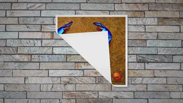 Video thumbnail for Beautiful Bridges