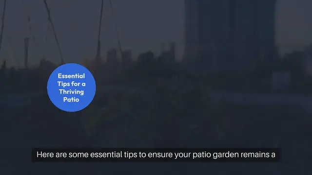 Video thumbnail for Patio Garden Maintenance Tips