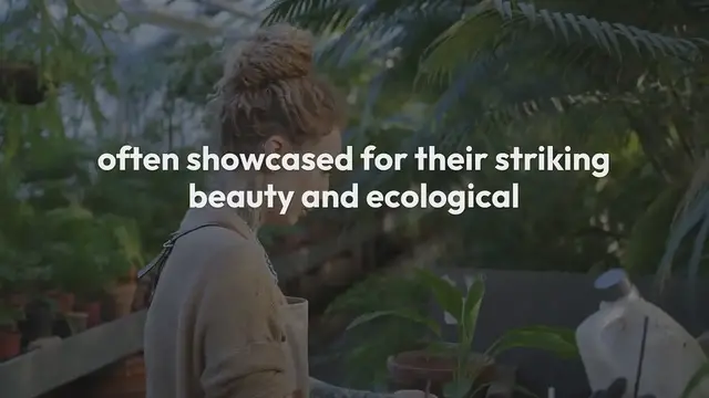 Video thumbnail for Tropical Plants In Botanical Gardens