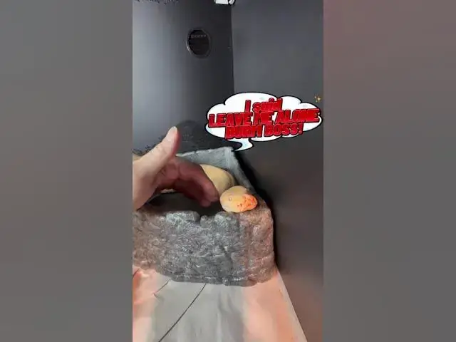 Video thumbnail for November 26, 2025