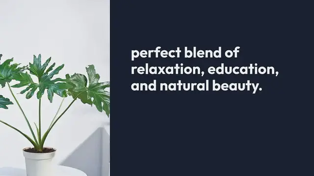 Video thumbnail for How To Plan A Trip To A Botanical Garden