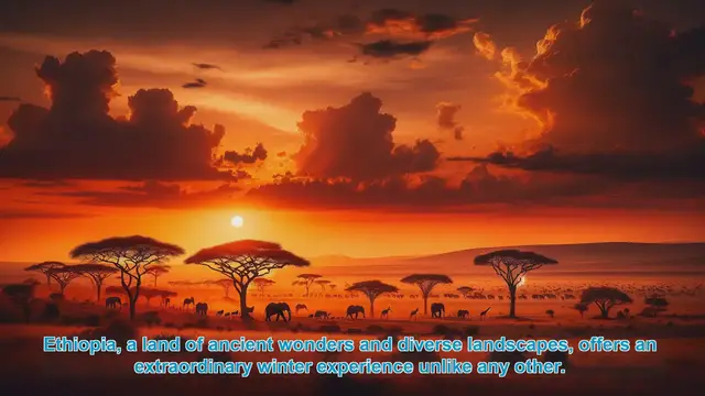 Video thumbnail for Discover Ethiopia's Top 10 Winter Wonders