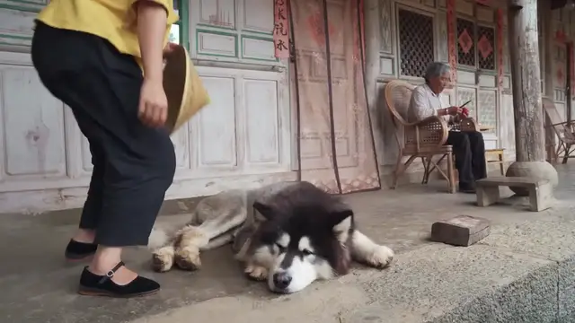 Video thumbnail for 童年小零食——你印象最深的是什么？【滇西小哥】 (720p 25fps)