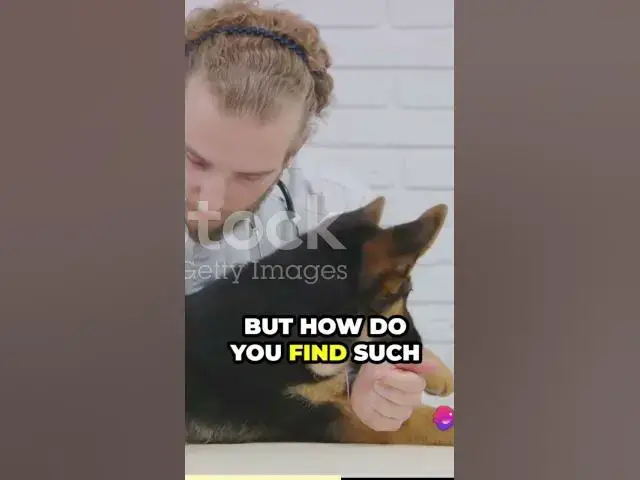 Video thumbnail for Bring Joy and Adventure