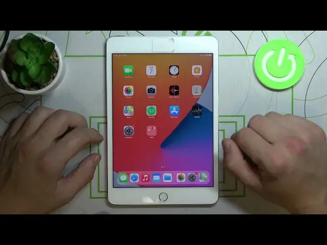 Video thumbnail for APPLE iPad Mini 4 and Display Customizations - How to Choose Level of Brightness