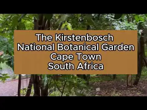 'Video thumbnail for The Kirstenbosch National Botanical Garden Cape Town ZA - Nature Walk'